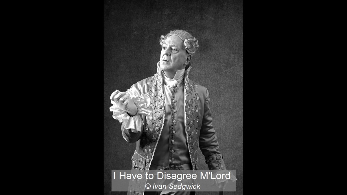 I Have to Disagree M'Lord